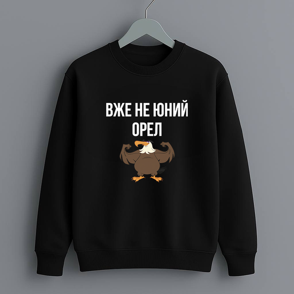 Світшот з принтом "ВЖЕ НЕ ЮНИЙ ОРЕЛ та орлом" 546584897 фото